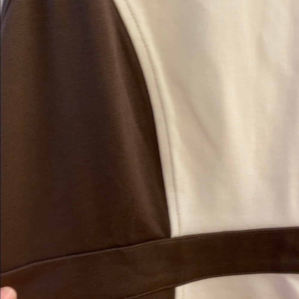Ann Taylor Brown and Cream Dress Sz 12 NWTS - Picture 2 of 6